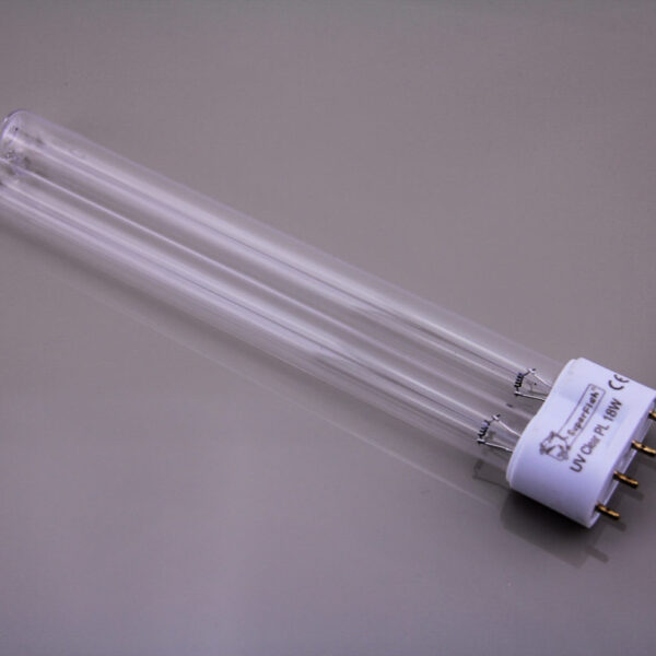 ampoule pl