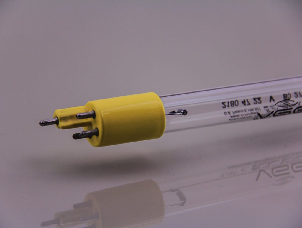 ampoule ozone