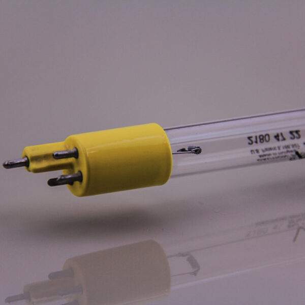 ampoule ozone