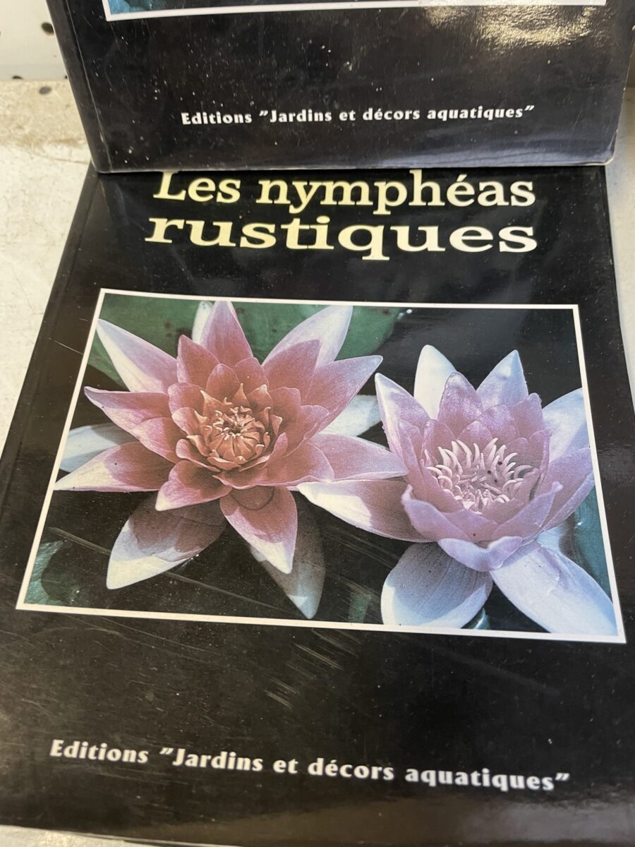les nymphéas rustiques