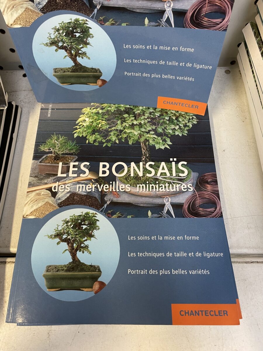 les bonsaïs des merveilles