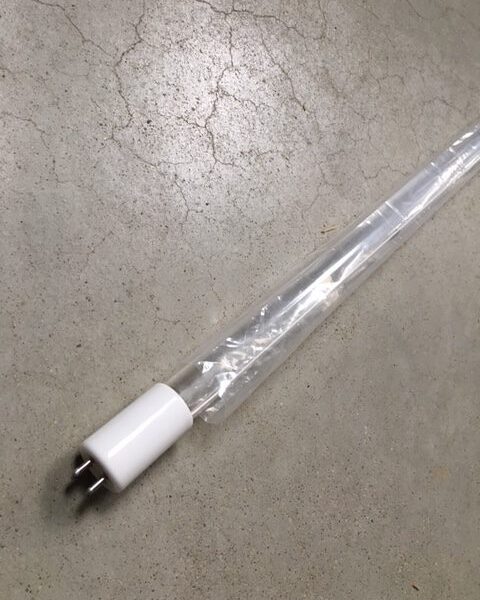 ampoule amalgam