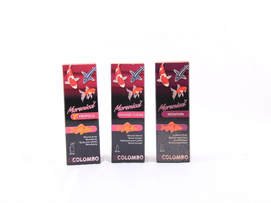 propolis