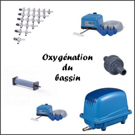 Oxygénation du bassin de jardin