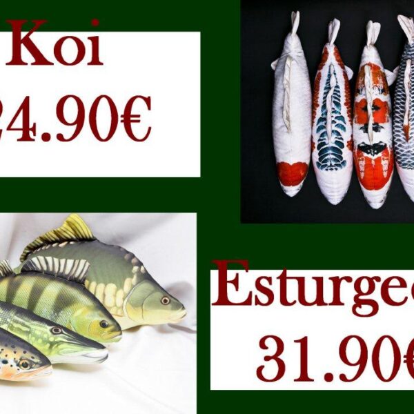 oreillers poissons