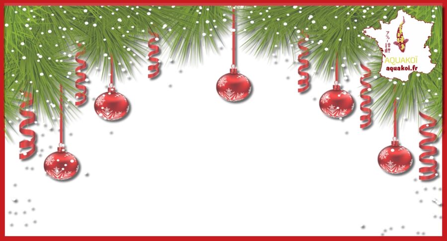 chèque cadeau noel