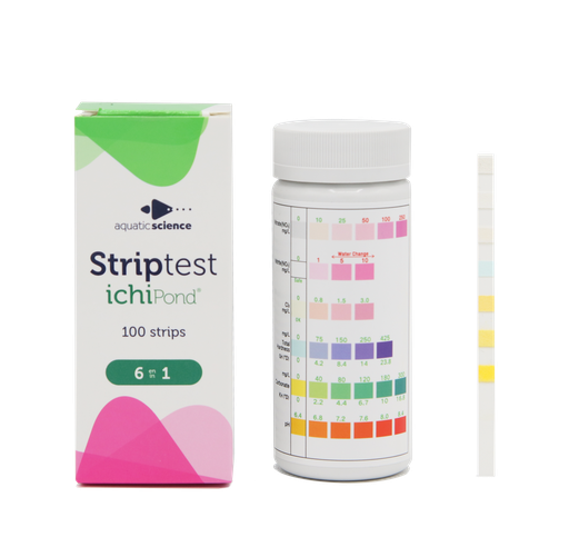 Striptest 6 en 1 Ichipond 100strips