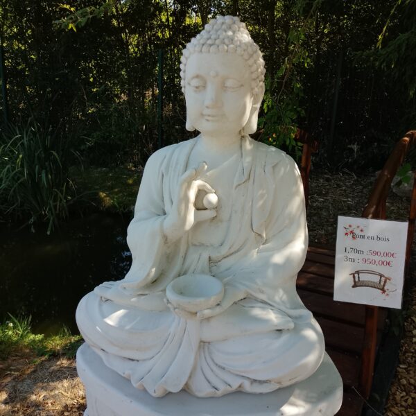 buddha assis