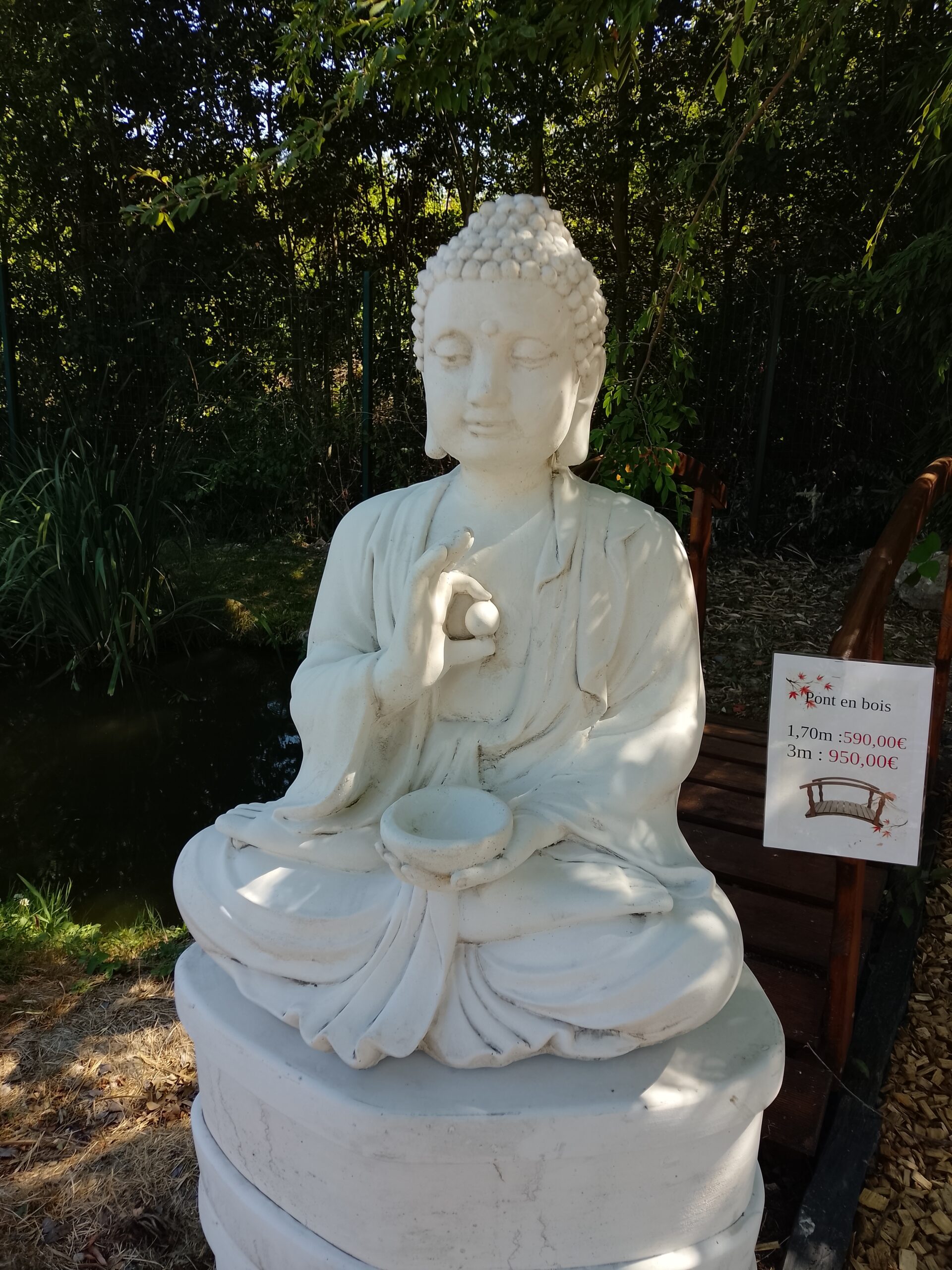 buddha assis
