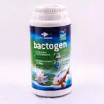 bactogen: bactéries pour bassin