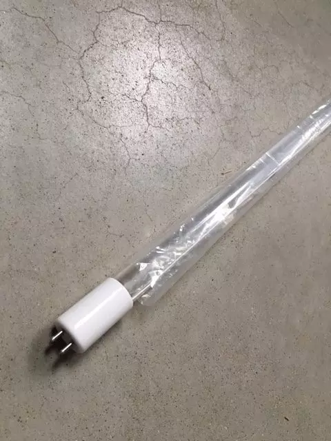 ampoule amalgam