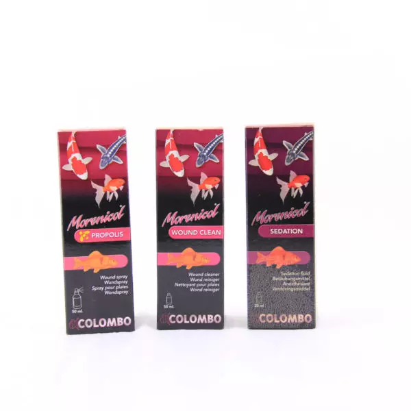 Colombo wound clean