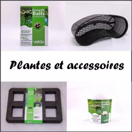 Plantes et accessoires