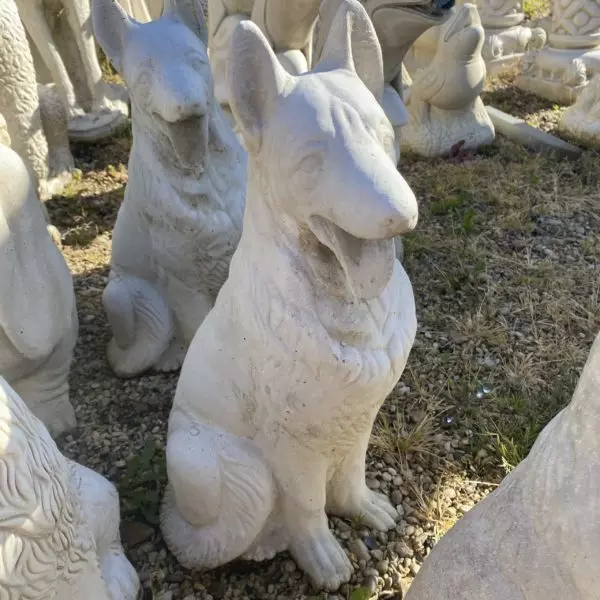 Statut Chien: Représentation Berger